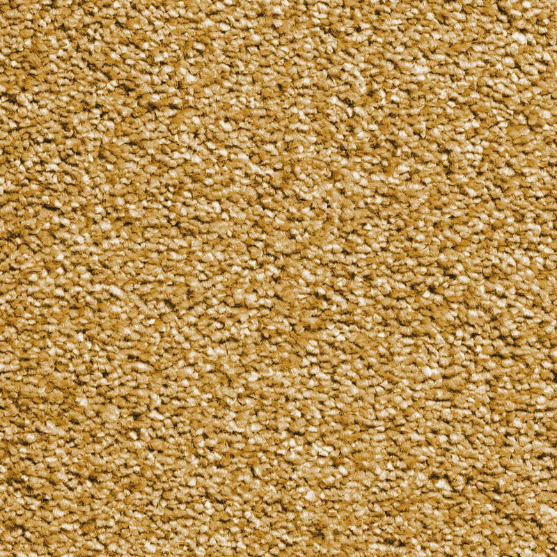 Baywood Mustard