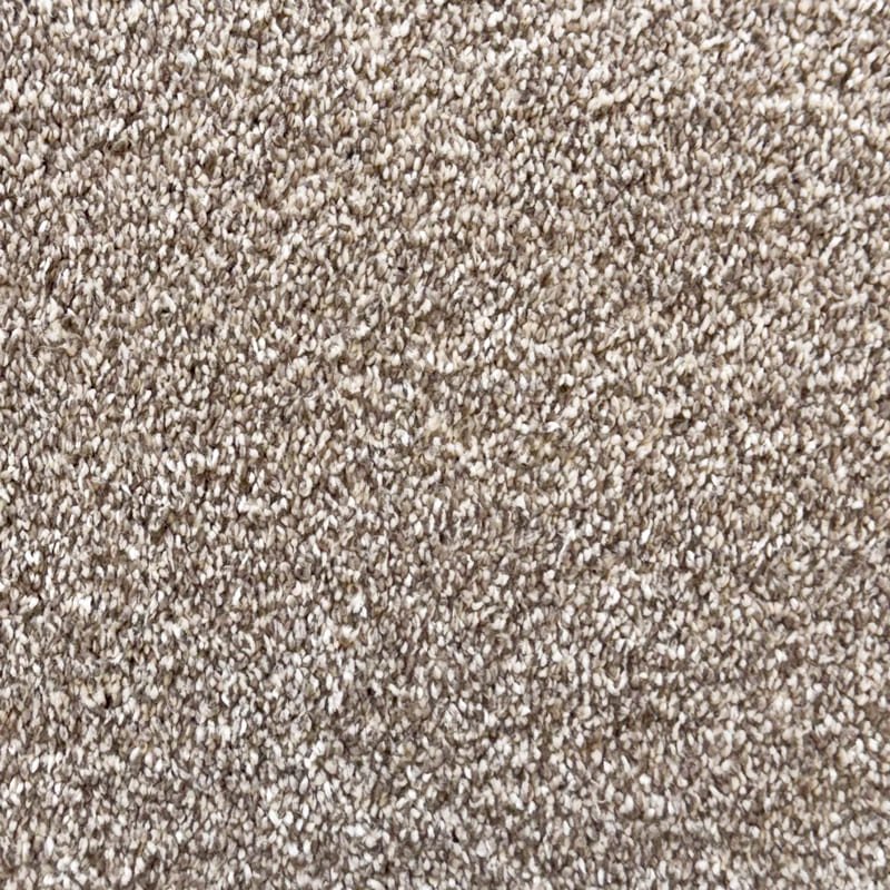Nomi Desert