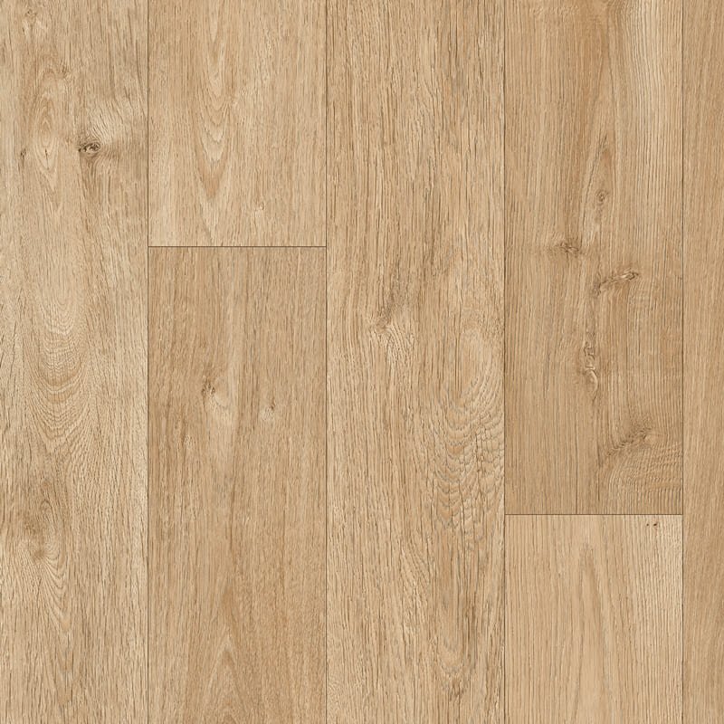 Citrino Beech