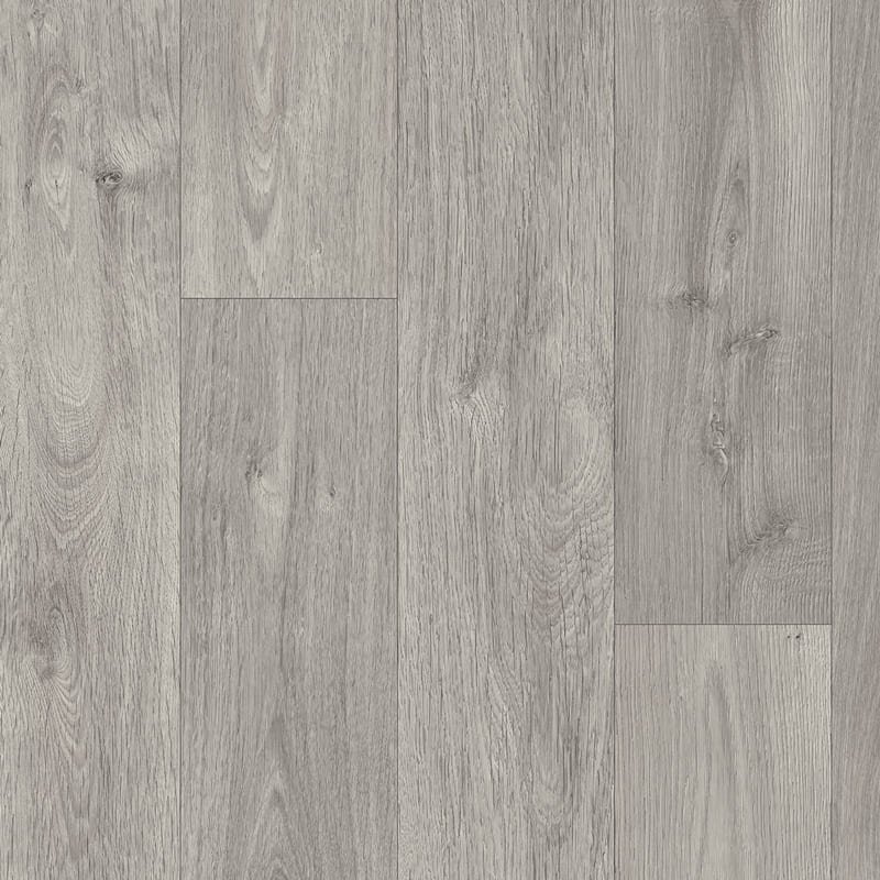 Citrino Cypress